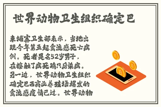 元气气骑士兑换码